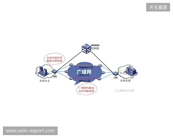 贝锐蒲公英游戏联机方案深度测评：2025年SD-WAN技术如何重新定义跨平台游戏体验